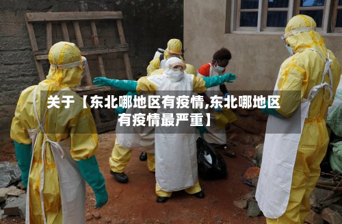 关于【东北哪地区有疫情,东北哪地区有疫情最严重】