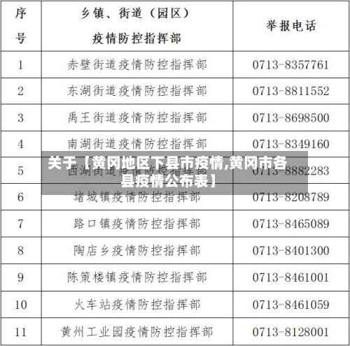 关于【黄冈地区下县市疫情,黄冈市各县疫情公布表】-第3张图片