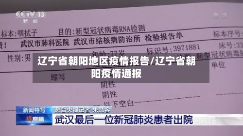 辽宁省朝阳地区疫情报告/辽宁省朝阳疫情通报