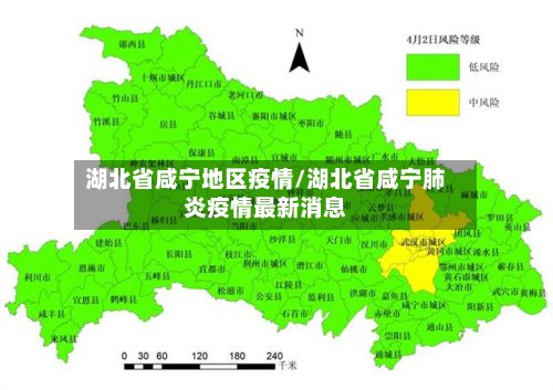 湖北省咸宁地区疫情/湖北省咸宁肺炎疫情最新消息-第2张图片