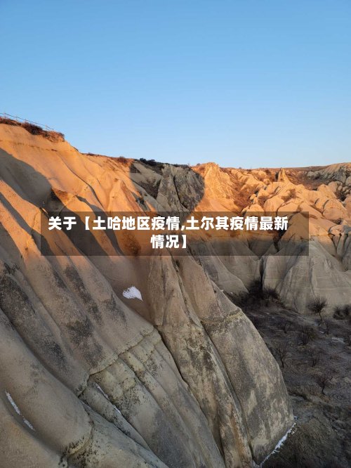 关于【土哈地区疫情,土尔其疫情最新情况】