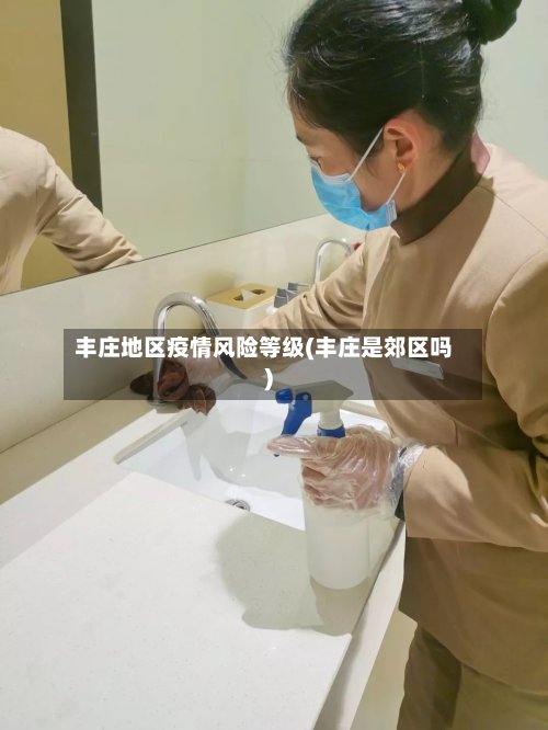 丰庄地区疫情风险等级(丰庄是郊区吗)-第3张图片