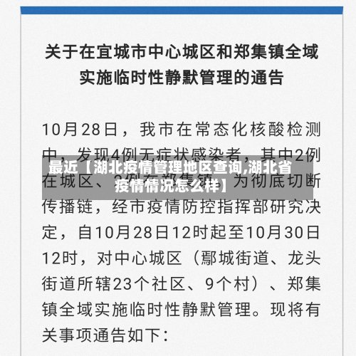 最近【湖北疫情管理地区查询,湖北省疫情情况怎么样】-第3张图片