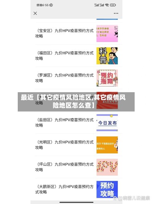 最近【其它疫情风险地区,其它疫情风险地区怎么查】