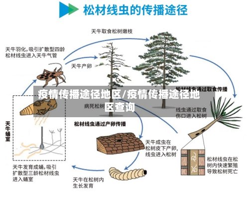 疫情传播途径地区/疫情传播途径地区查询