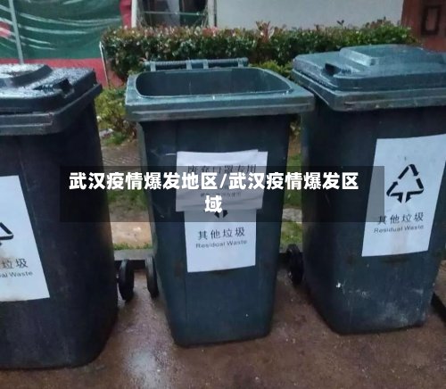 武汉疫情爆发地区/武汉疫情爆发区域-第2张图片