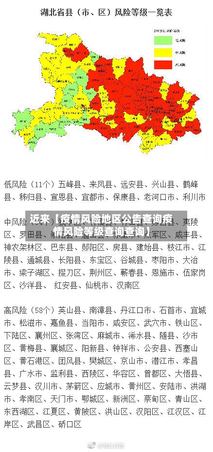 近来【疫情风险地区公告查询疫情风险等级查询查询】-第3张图片