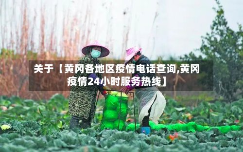 关于【黄冈各地区疫情电话查询,黄冈疫情24小时服务热线】
