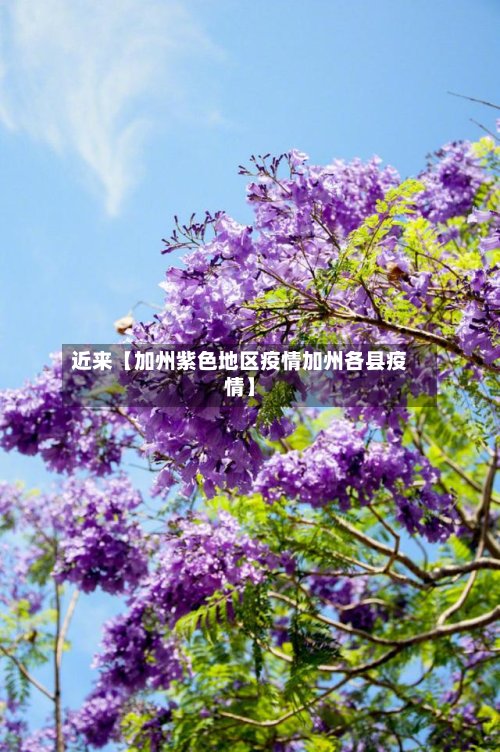 近来【加州紫色地区疫情加州各县疫情】
