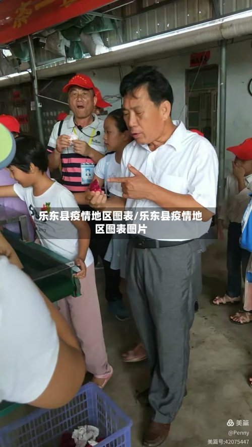 乐东县疫情地区图表/乐东县疫情地区图表图片