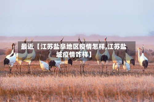 最近【江苏盐阜地区疫情怎样,江苏盐城疫情咋样】-第3张图片