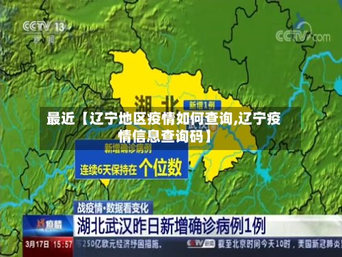 最近【辽宁地区疫情如何查询,辽宁疫情信息查询码】-第2张图片