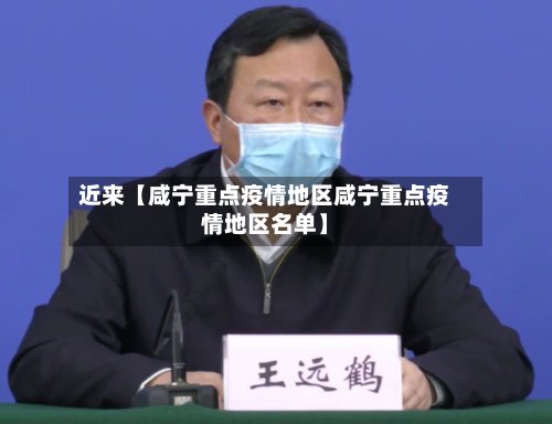 近来【咸宁重点疫情地区咸宁重点疫情地区名单】-第3张图片