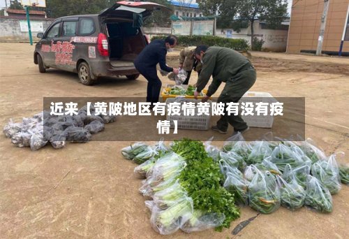 近来【黄陂地区有疫情黄陂有没有疫情】