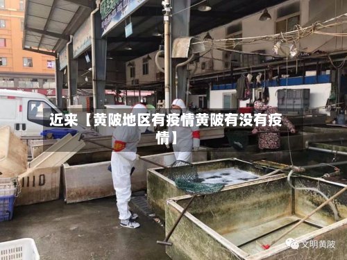 近来【黄陂地区有疫情黄陂有没有疫情】-第2张图片