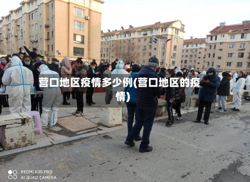 营口地区疫情多少例(营口地区的疫情)-第2张图片