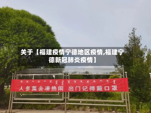 关于【福建疫情宁德地区疫情,福建宁德新冠肺炎疫情】-第3张图片