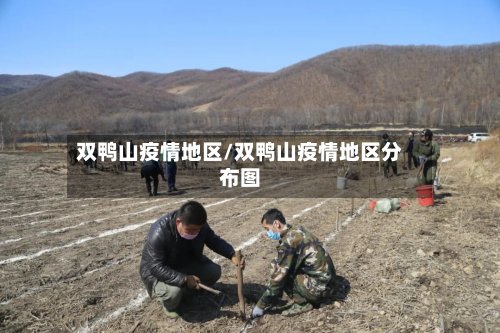 双鸭山疫情地区/双鸭山疫情地区分布图