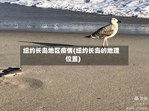 纽约长岛地区疫情(纽约长岛的地理位置)-第3张图片