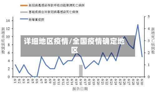 详细地区疫情/全国疫情确定地区