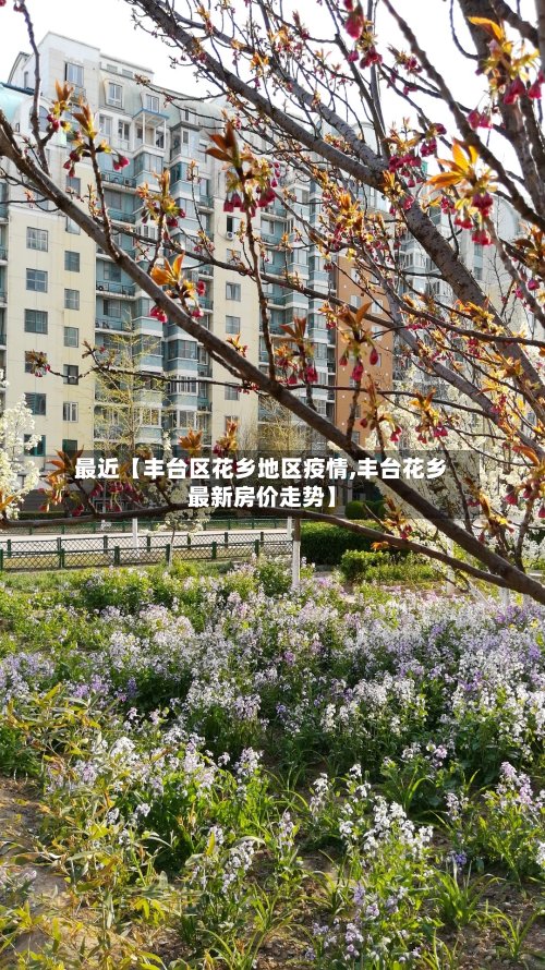 最近【丰台区花乡地区疫情,丰台花乡最新房价走势】