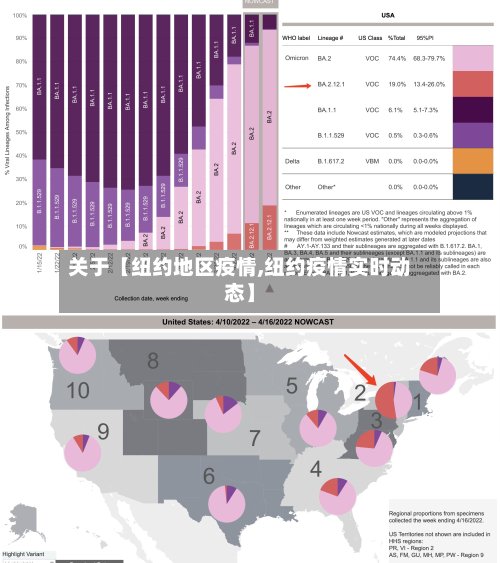 关于【纽约地区疫情,纽约疫情实时动态】-第2张图片