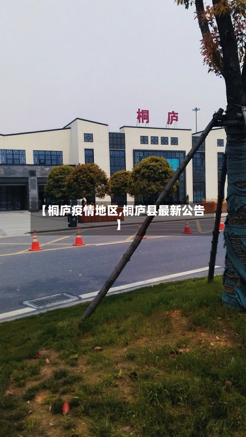 【桐庐疫情地区,桐庐县最新公告】-第2张图片