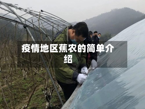 疫情地区蕉农的简单介绍