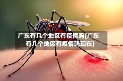 广东有几个地区有疫情吗(广东有几个地区有疫情吗现在)-第2张图片
