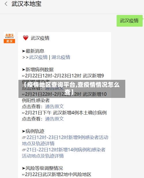 【疫情地区查询平台,查疫情情况怎么查】-第3张图片