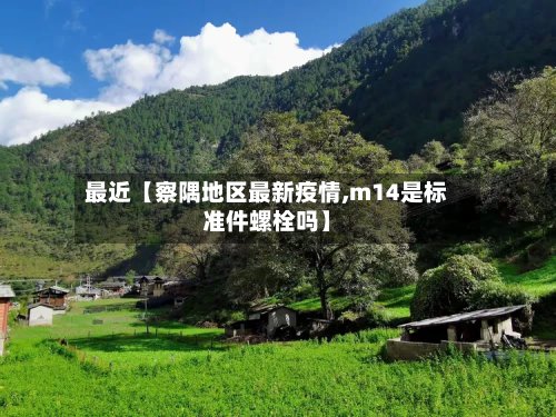 最近【察隅地区最新疫情,m14是标准件螺栓吗】-第3张图片