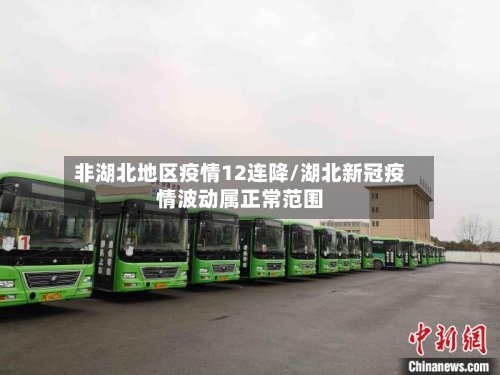 非湖北地区疫情12连降/湖北新冠疫情波动属正常范围