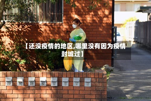 【还没疫情的地区,哪里没有因为疫情封城过】