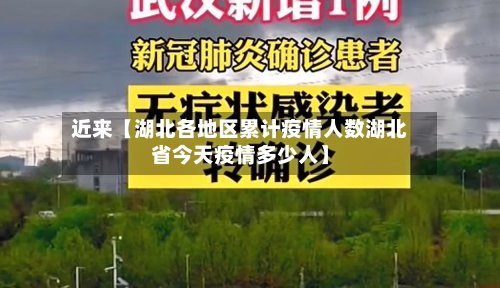 近来【湖北各地区累计疫情人数湖北省今天疫情多少人】-第3张图片