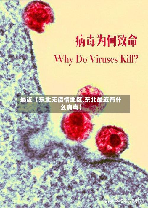 最近【东北无疫情地区,东北最近有什么病毒】