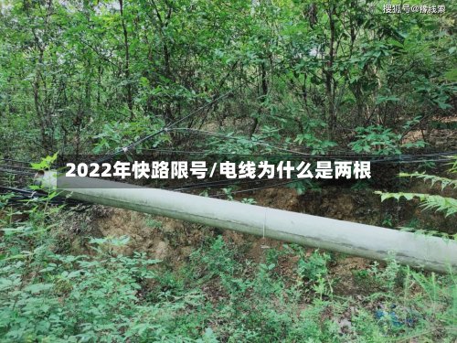 2022年快路限号/电线为什么是两根