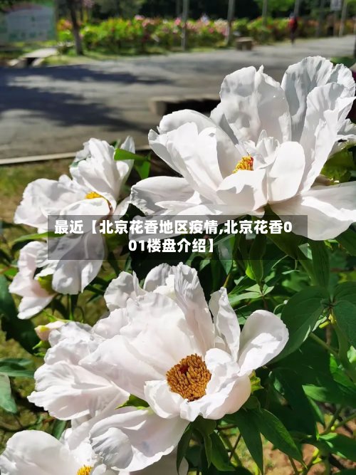 最近【北京花香地区疫情,北京花香001楼盘介绍】