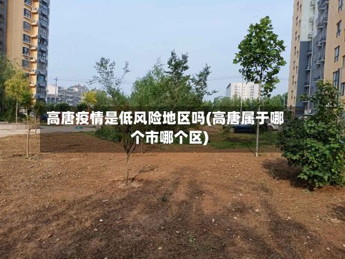 高唐疫情是低风险地区吗(高唐属于哪个市哪个区)