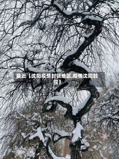 最近【沈阳疫情封锁地区,疫情沈阳封控】-第2张图片