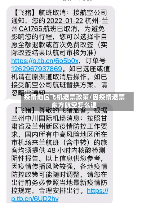 疫情地区飞机退票政策/因疫情退票东方航空怎么退-第3张图片