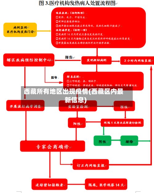 西藏所有地区出现疫情(西藏区内最新信息)