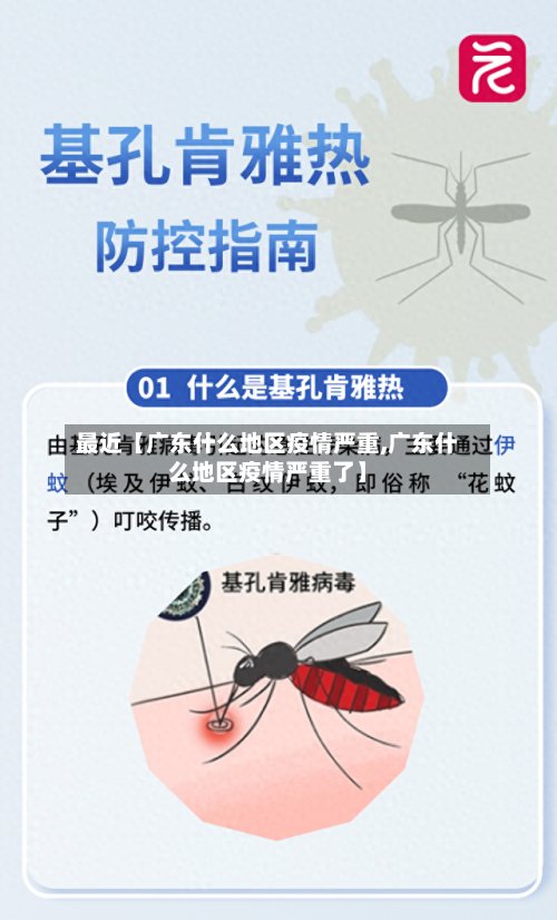 最近【广东什么地区疫情严重,广东什么地区疫情严重了】