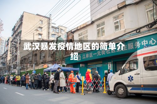武汉暴发疫情地区的简单介绍-第2张图片