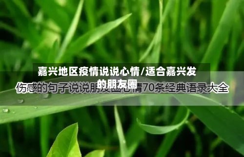 嘉兴地区疫情说说心情/适合嘉兴发的朋友圈