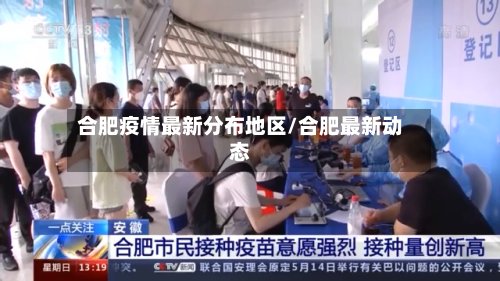 合肥疫情最新分布地区/合肥最新动态-第3张图片