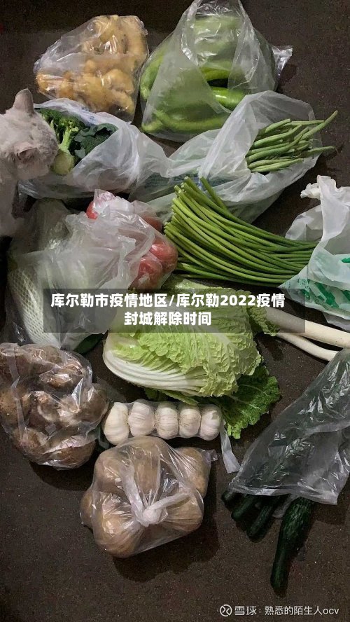 库尔勒市疫情地区/库尔勒2022疫情封城解除时间-第2张图片