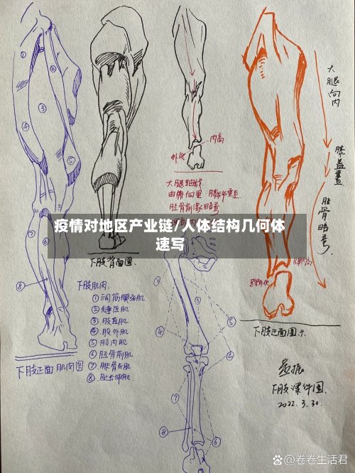 疫情对地区产业链/人体结构几何体速写-第2张图片