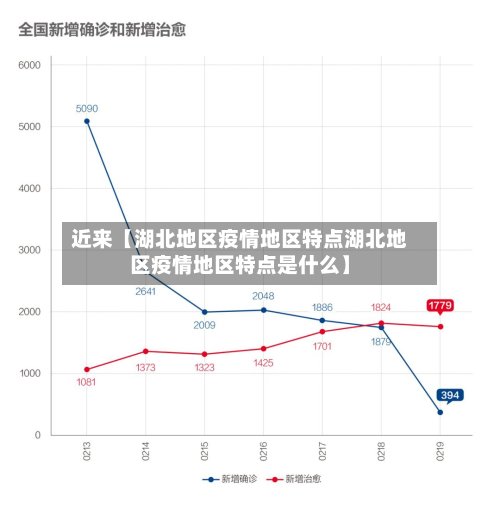 近来【湖北地区疫情地区特点湖北地区疫情地区特点是什么】-第3张图片