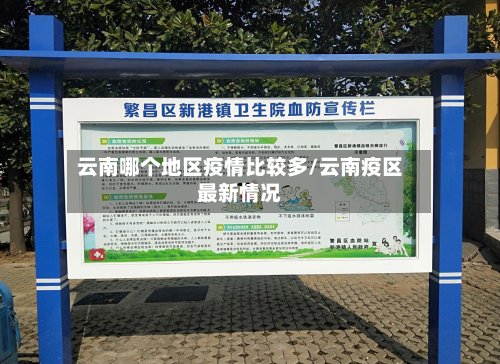 云南哪个地区疫情比较多/云南疫区最新情况-第3张图片