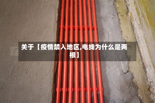 关于【疫情禁入地区,电线为什么是两根】-第2张图片